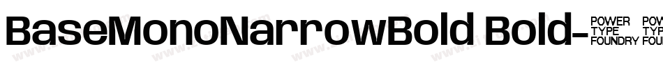 BaseMonoNarrowBold Bold字体转换